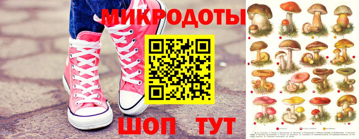 Галлюциногенные грибы Psilocybe  Вход с VPN  Сорочинск 